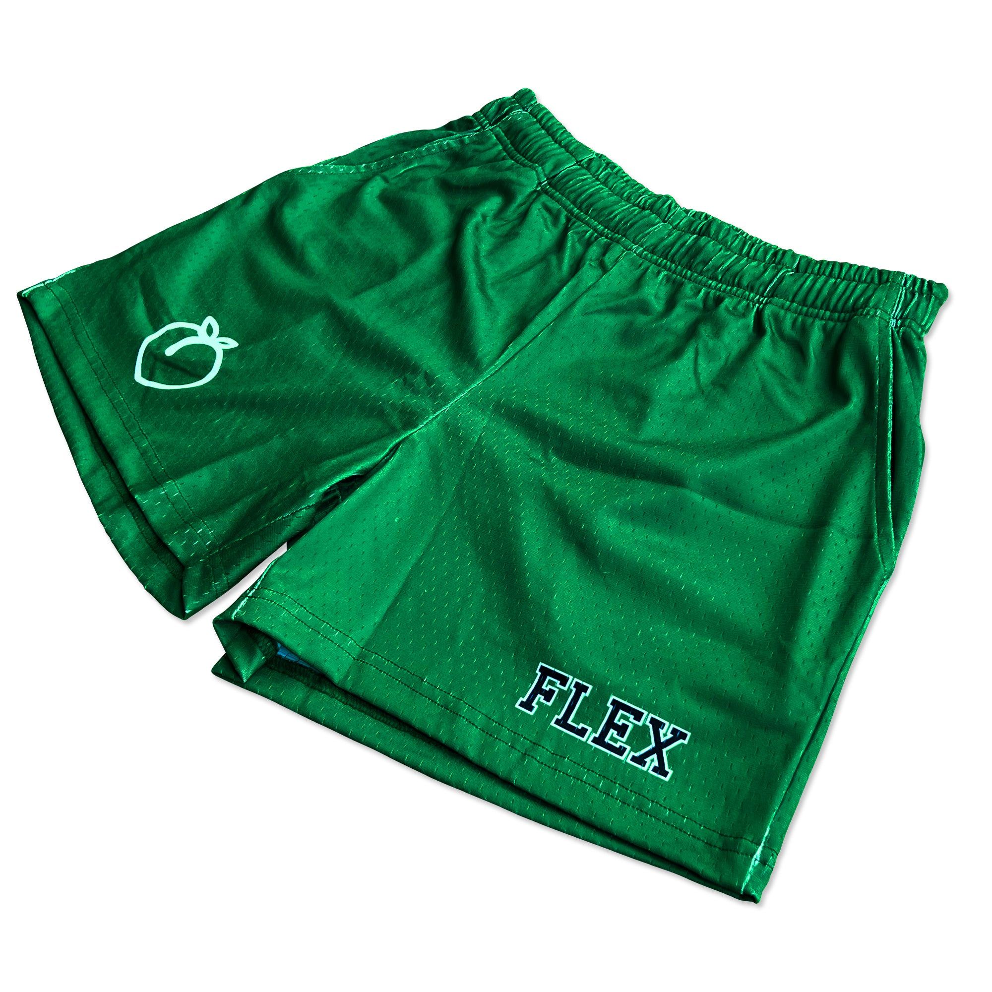 Mesh Flex Shorts 5" - Green sold by Flex Living product image thumbnail 2