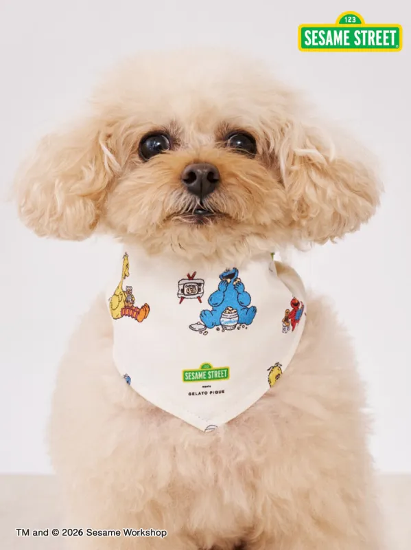 [SESAME STREET] [CAT＆DOG] Pet Bandana made by Gelato Pique