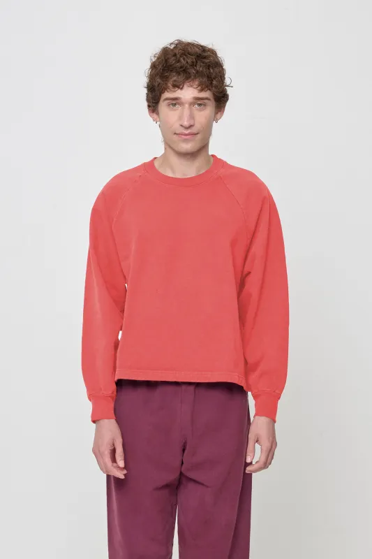 Trash Raglan sold by Everybody.World