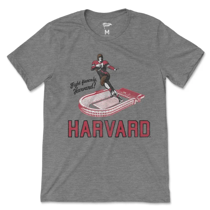 Harvard Stadium Vintage Football Tee sold by Streaker Sports