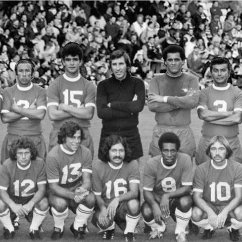 1972 Miami Gatos Tee sold by Streaker Sports product image thumbnail 2