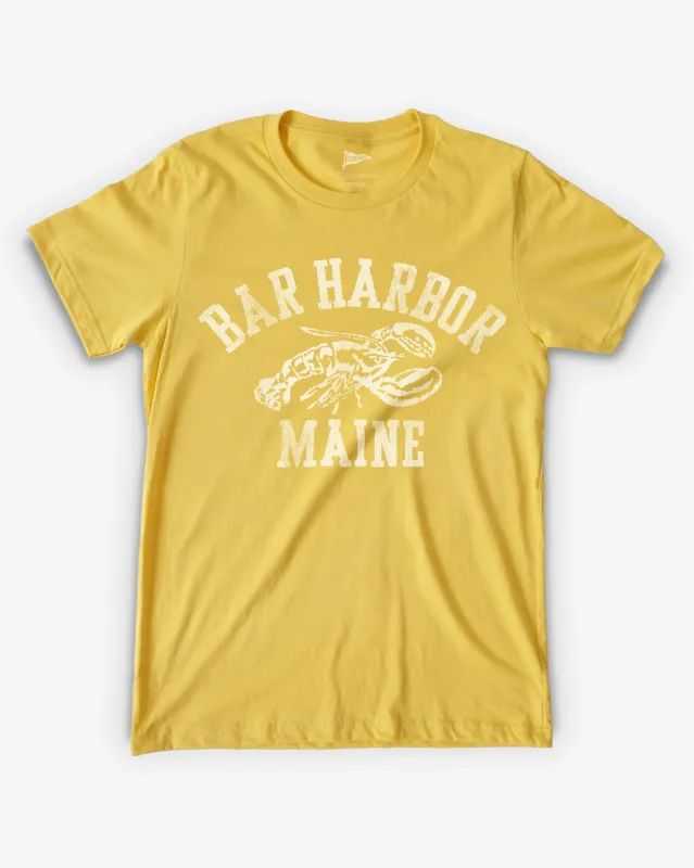 Vintage Bar Harbor Maine Tee made by Streaker Sports
