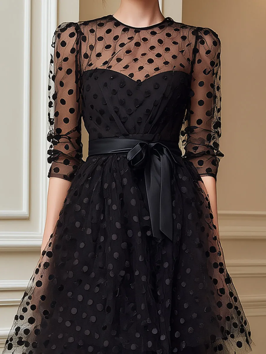 Sheer Polka Dot Tulle Belted Midi Dress sold by Mooyius product image thumbnail 2