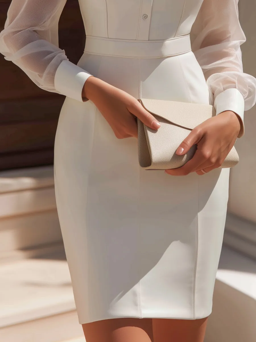 Sheer Panel Button-Front Tailored Midi Dress sold by Mooyius product image thumbnail 3