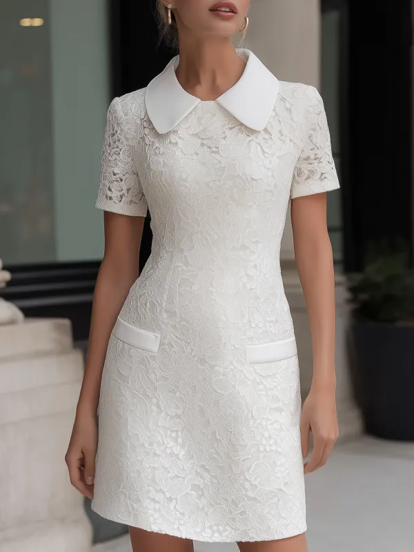 Lace Peter Pan Collar Tailored Mini Dress made by Mooyius