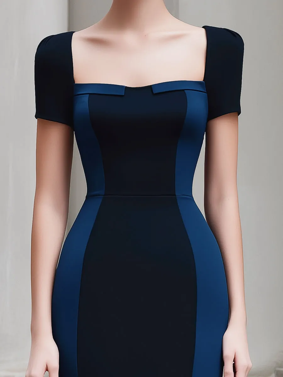 Colorblock Panel Sleeveless Structured Midi Dress sold by Mooyius product image thumbnail 2