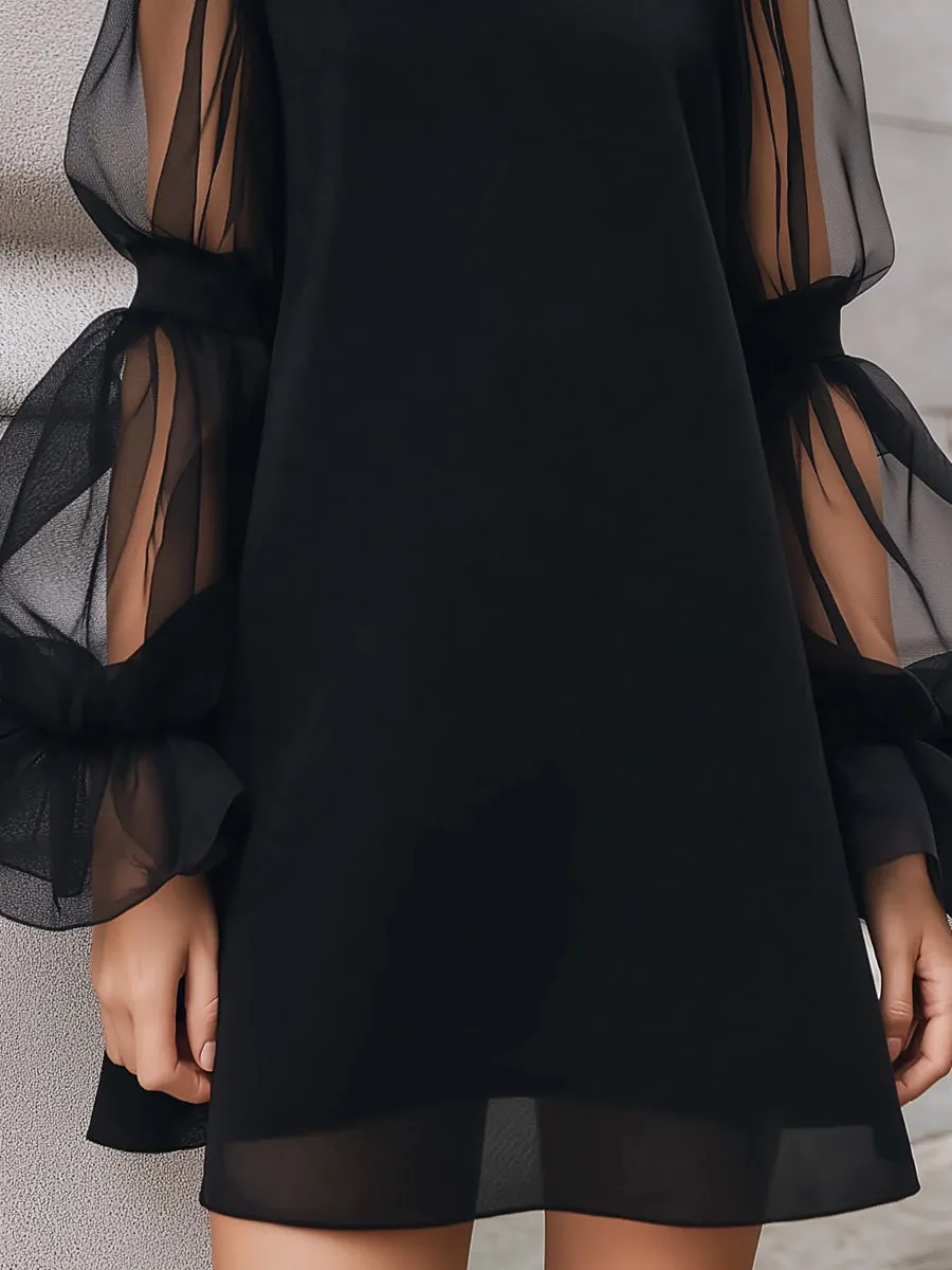 Sheer Lantern Sleeve A-Line Mini Dress sold by Mooyius product image thumbnail 3
