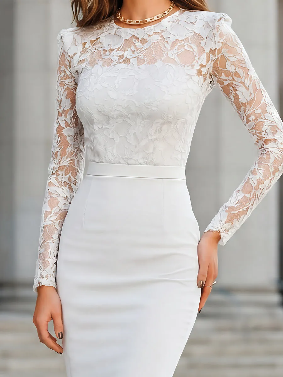 Elegant Lace Fitted Sheath Dress sold by Mooyius product image thumbnail 2