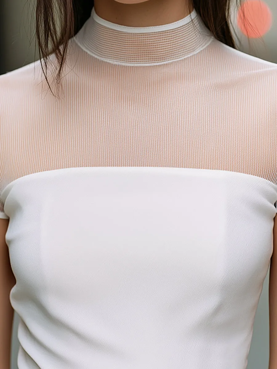 Sheer Mesh High-Neck Short Sleeve Top sold by Mooyius product image thumbnail 2