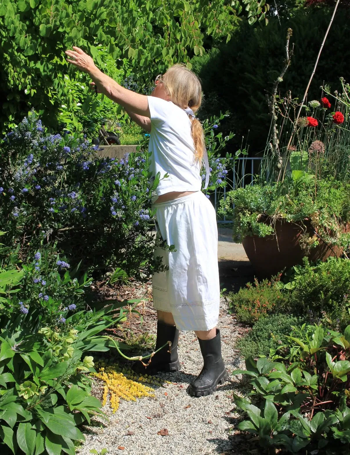 Day Dreamer Shorts sold by Smith Bowen product image thumbnail 4