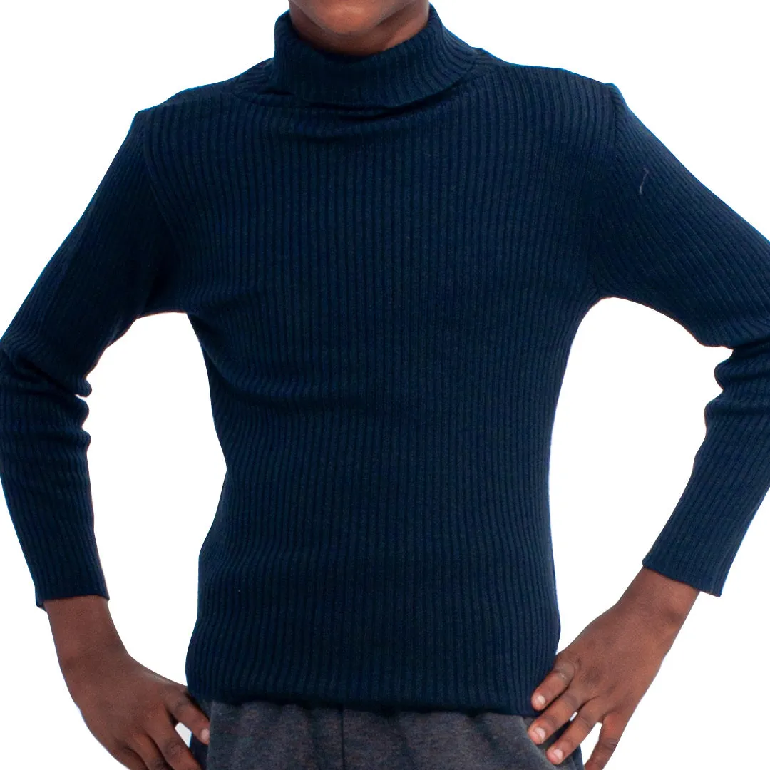 Boys Navy Poloneck sold by Fashion World