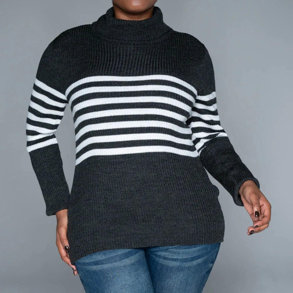 Charcoal Stripe Poloneck Jumper sold by Fashion World product image thumbnail 4