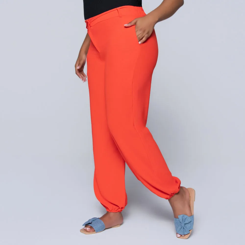 Terracotta Pants sold by Fashion World product image thumbnail 5