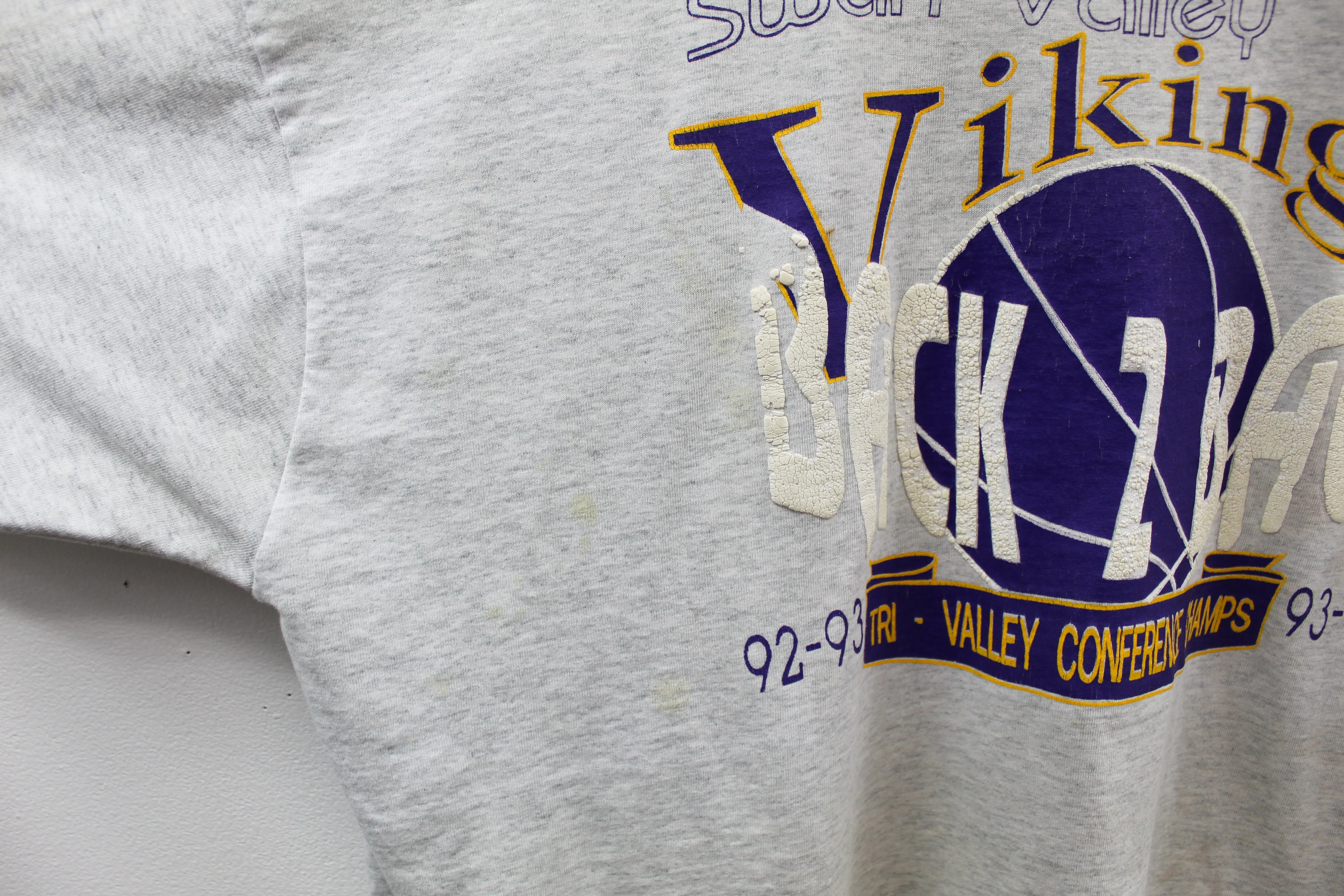 Z - Vintage 94' Single Stitch Swan Valley Vikings Conference Tee sold by HG Vintage product image thumbnail 3