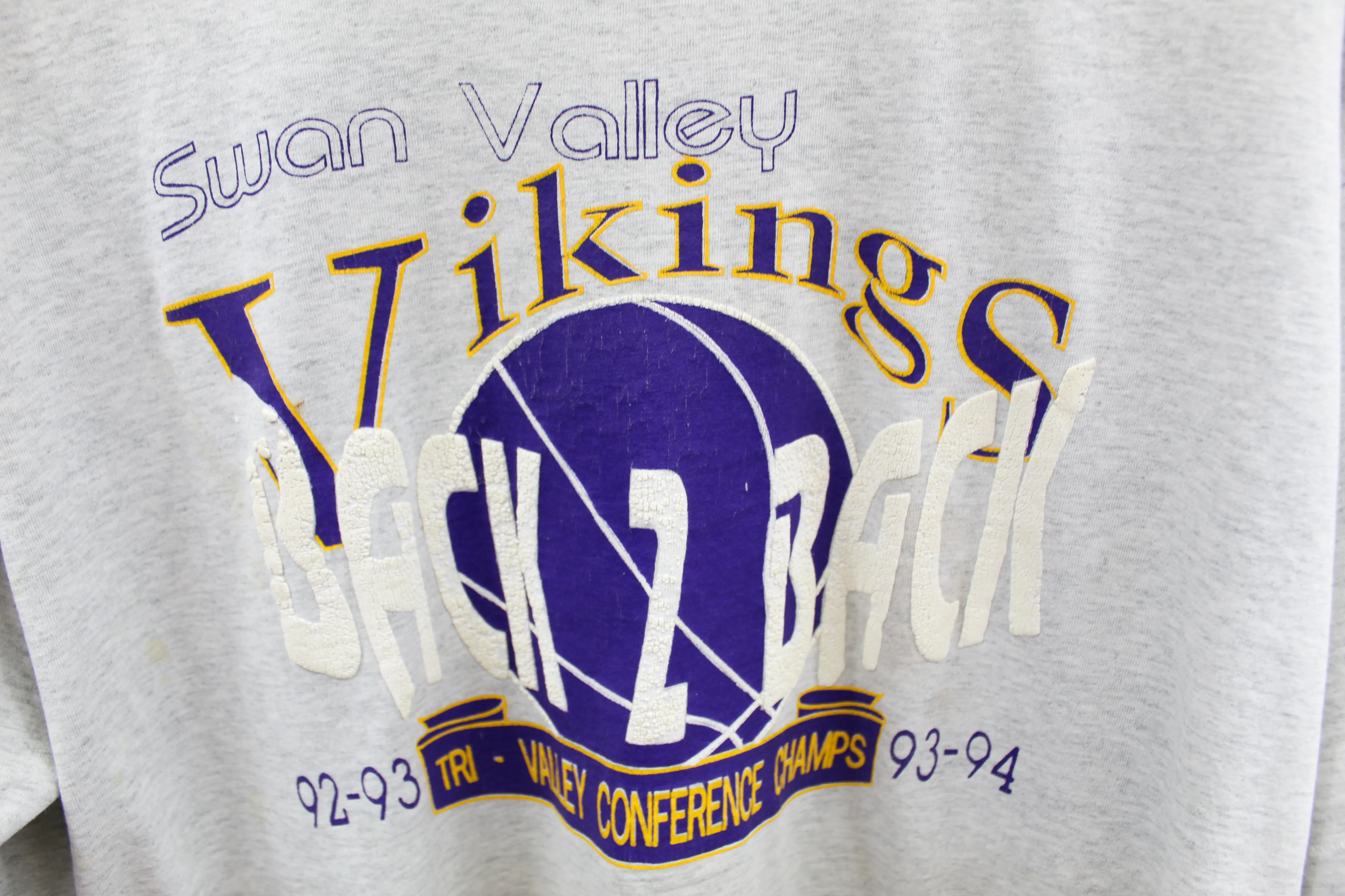 Z - Vintage 94' Single Stitch Swan Valley Vikings Conference Tee sold by HG Vintage product image thumbnail 2
