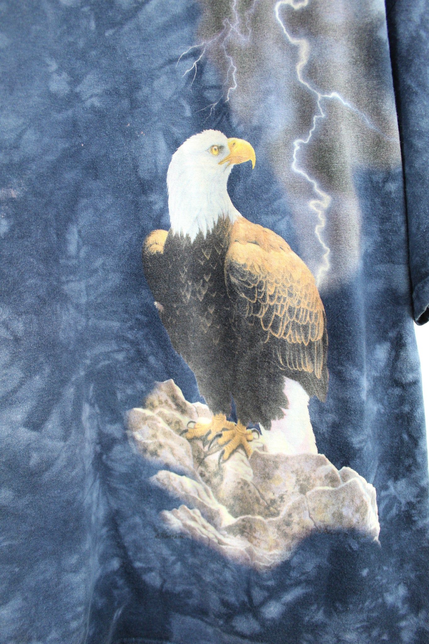 Perched Eagle & Lightning Nature Tee sold by HG Vintage product image thumbnail 2