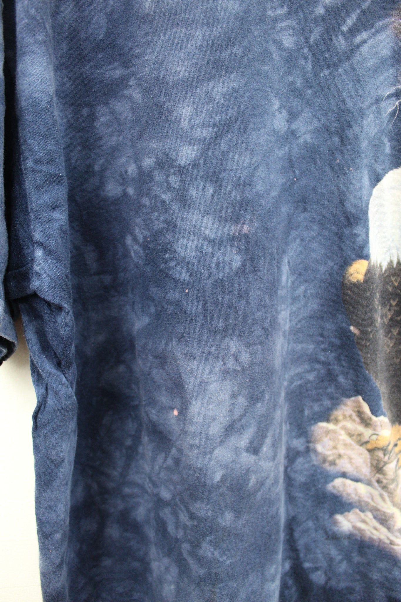 Perched Eagle & Lightning Nature Tee sold by HG Vintage product image thumbnail 3