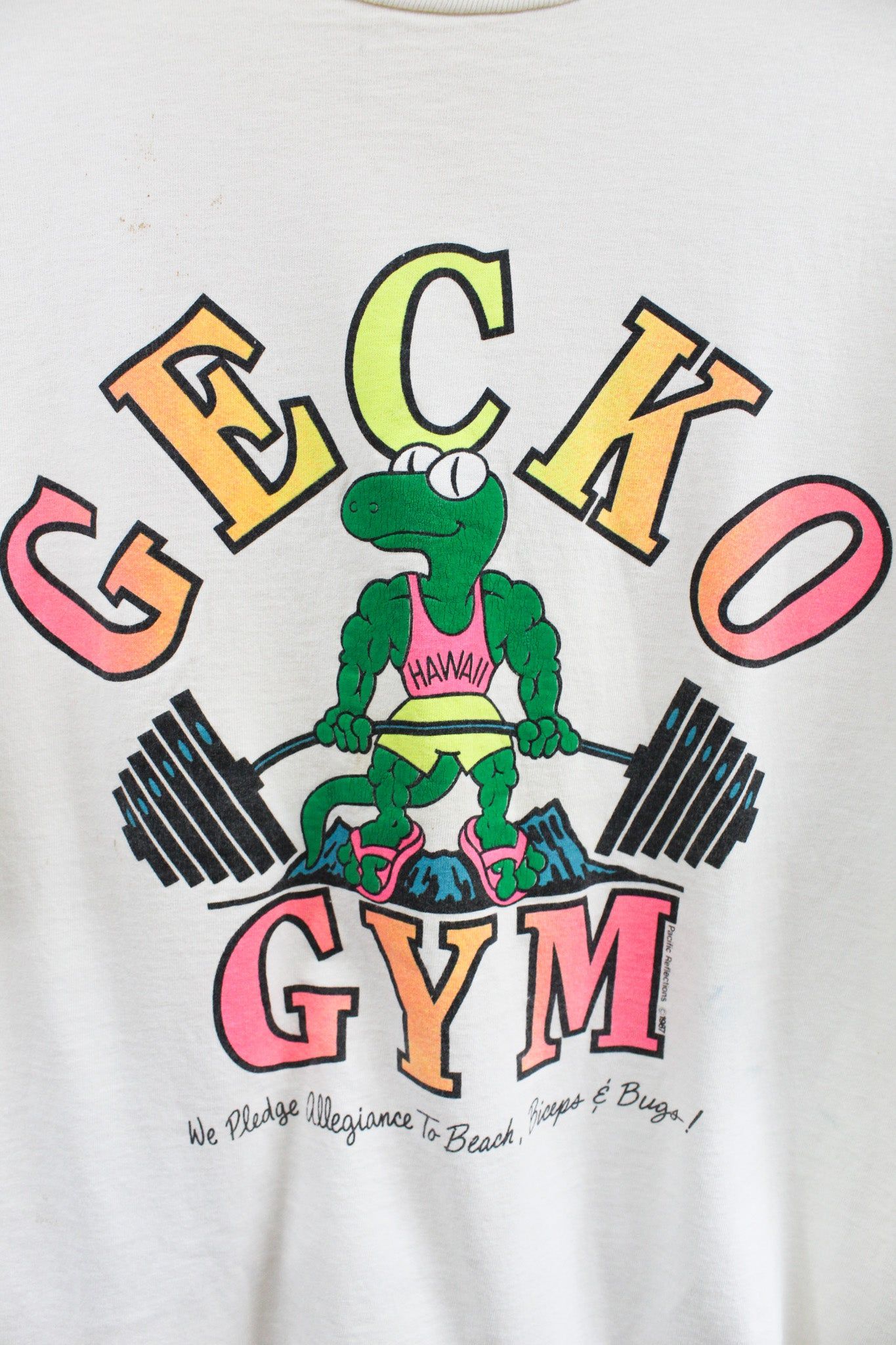 Vintage 1987 Gecko Gym Graphic Tee sold by HG Vintage product image thumbnail 2
