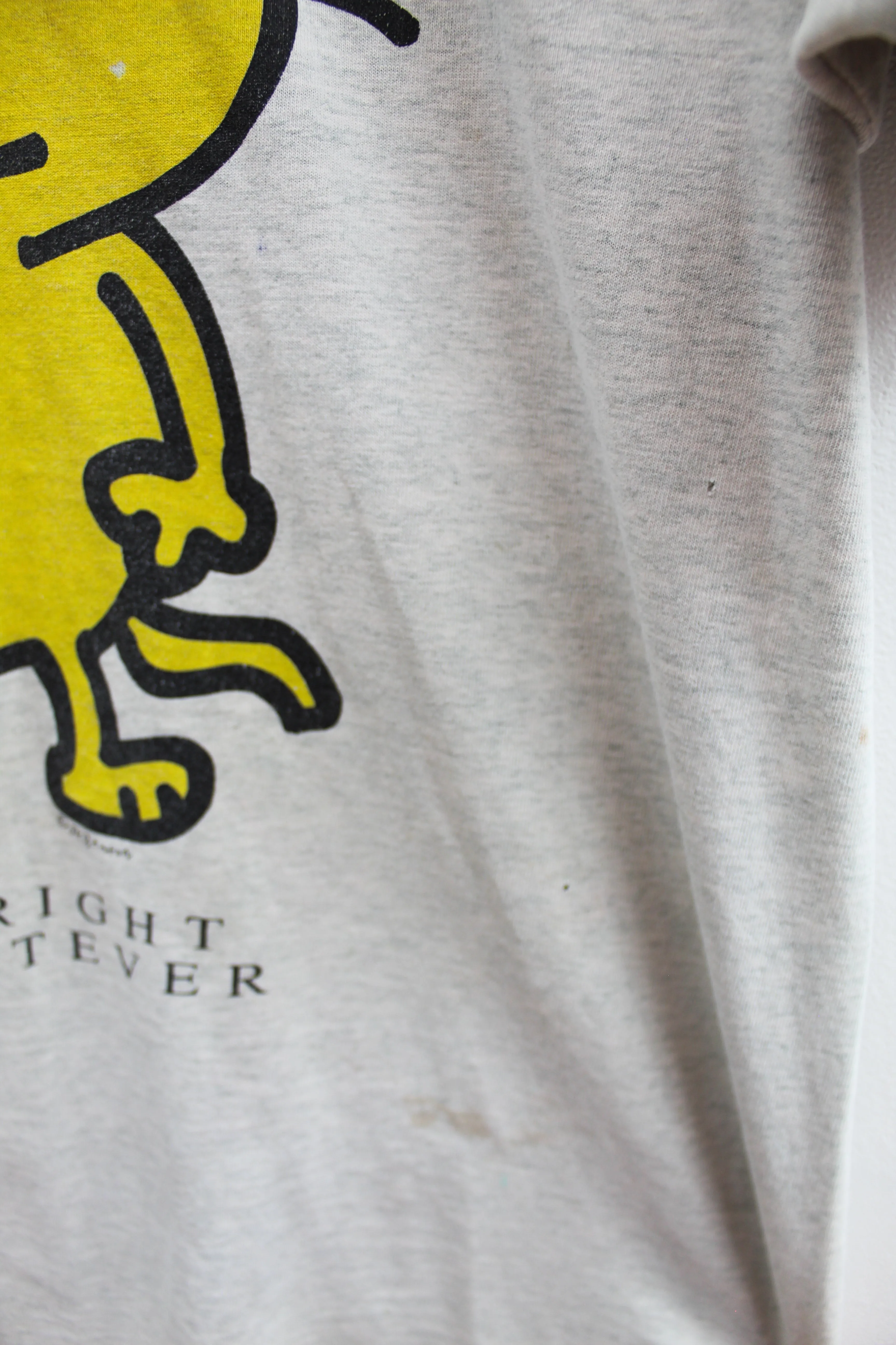 Z - Vintage Single Stitch 90s Yeah Right Ok Whatever Cat Graphic Fruit Of The Loom Tee sold by HG Vintage product image thumbnail 3