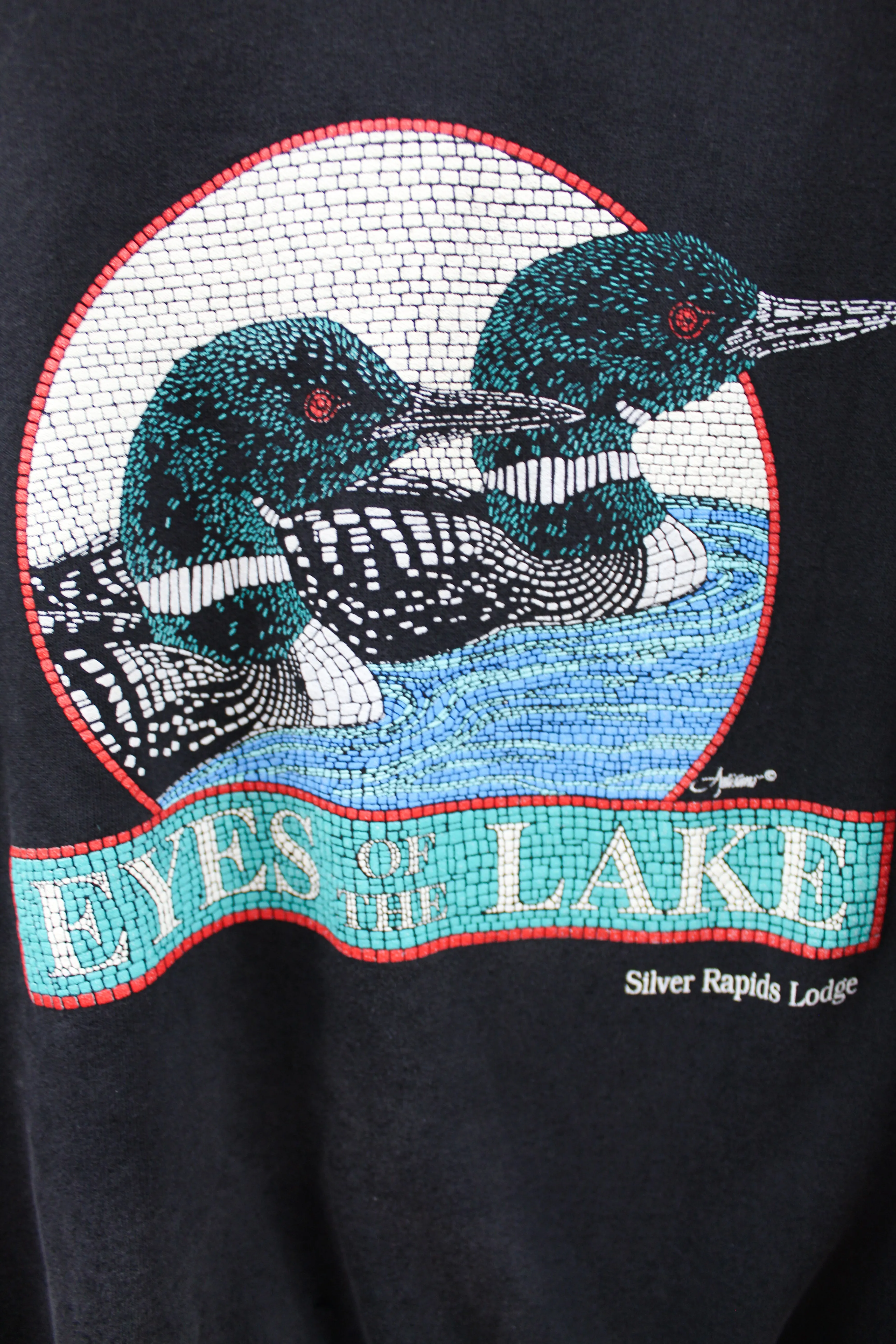 Z - Vintage Eyes Of The Lake Ducks Sweatshirt Tee sold by HG Vintage product image thumbnail 2
