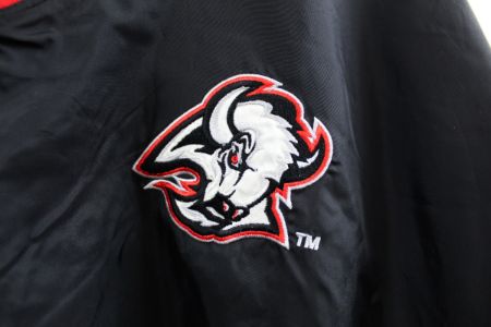 CC- Vintage NHL Buffalo Sabres Pullover Nylon Windbreaker sold by HG Vintage