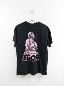 Tyler The Creator 2019 Igor Tour Tee sold by HG Vintage