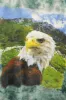 Z - Vintage Eagle On Mountain Picture Tee sold by HG Vintage