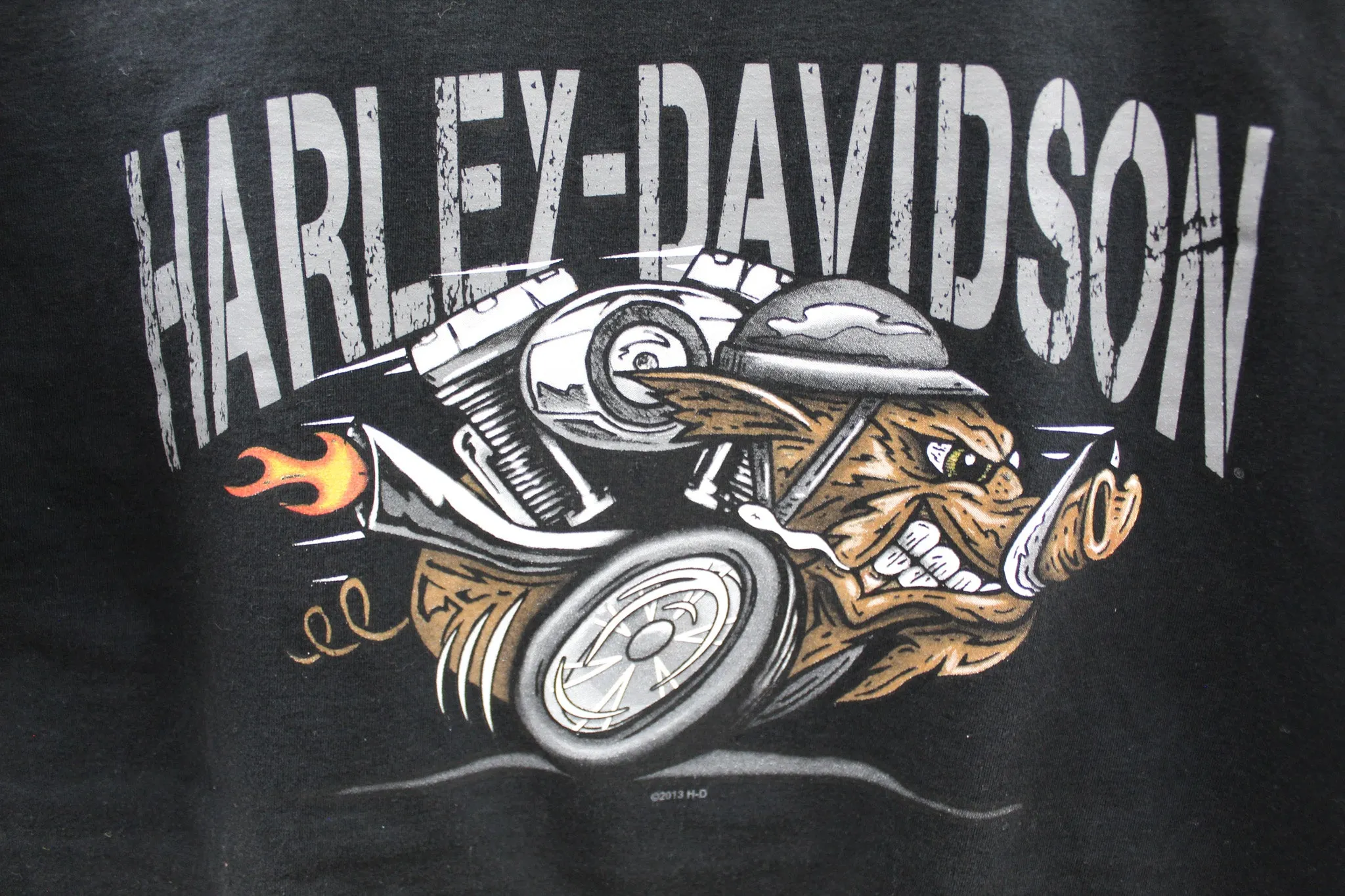 X - Harley Davidson Boar Hampton Roads Virgina Tee sold by HG Vintage product image thumbnail 2
