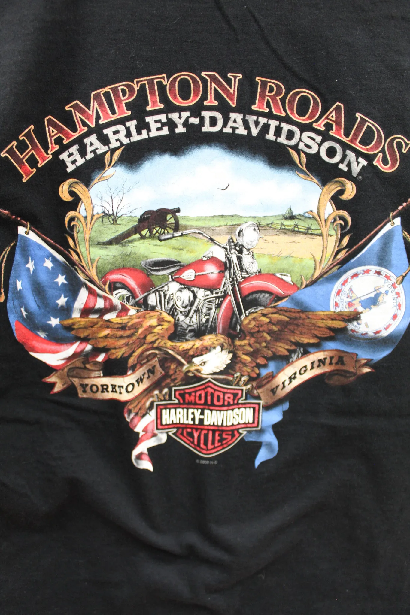 X - Harley Davidson Boar Hampton Roads Virgina Tee sold by HG Vintage product image thumbnail 5