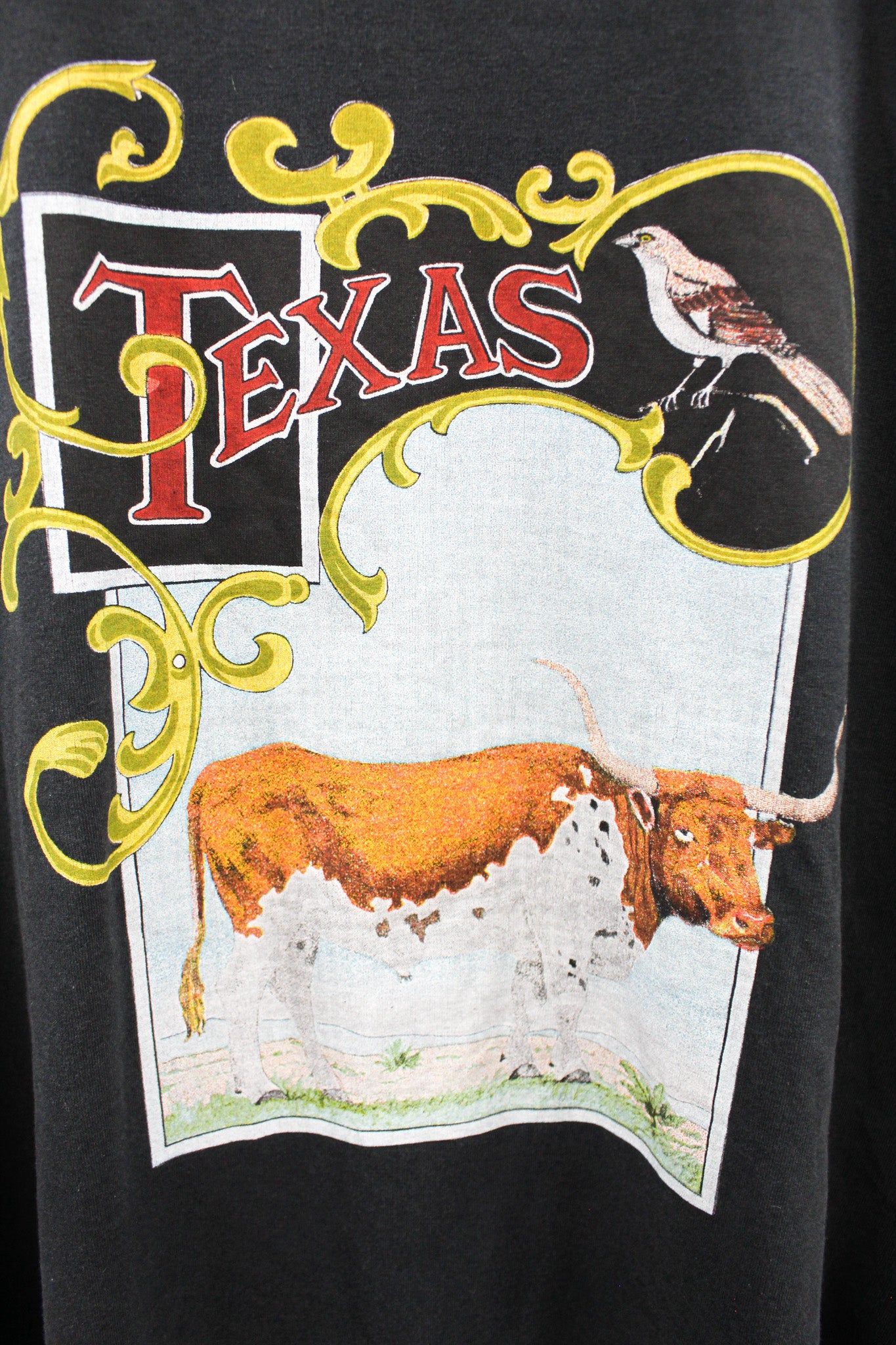 Vintage Texas & Cow Graphic Single Stitch Tee sold by HG Vintage product image thumbnail 2