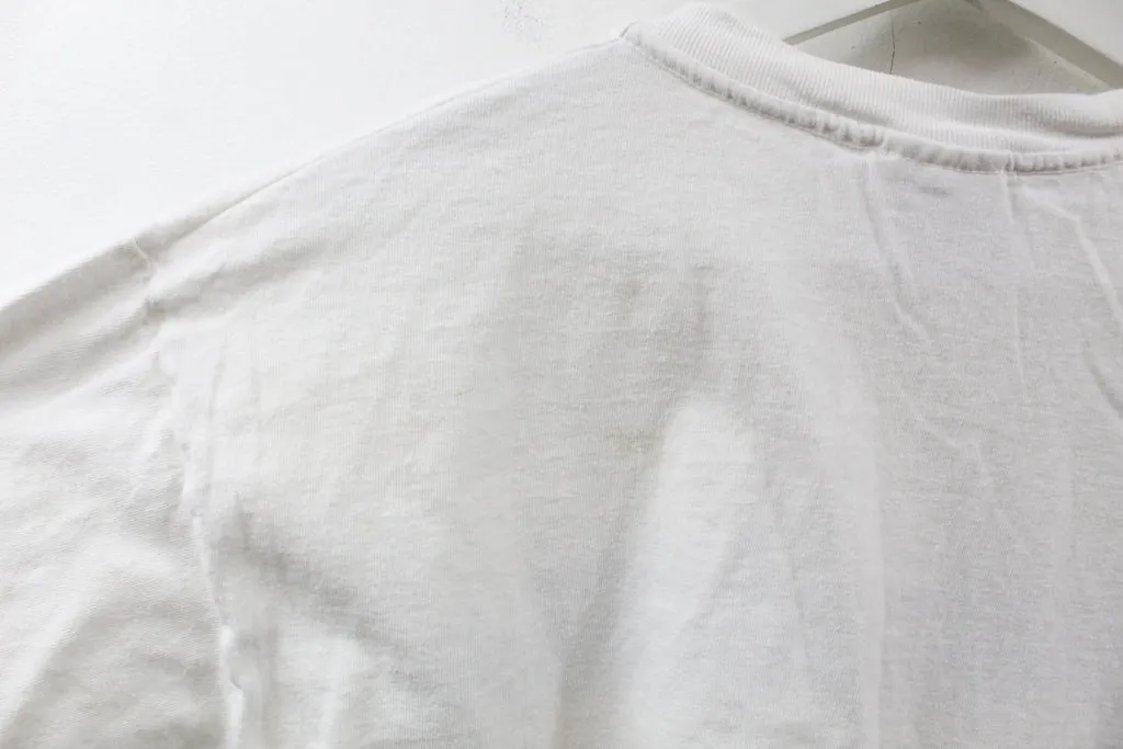 Z- Vintage 1999 St Louis Rams NFC West Champs NFL Hanes Tee sold by HG Vintage product image thumbnail 4