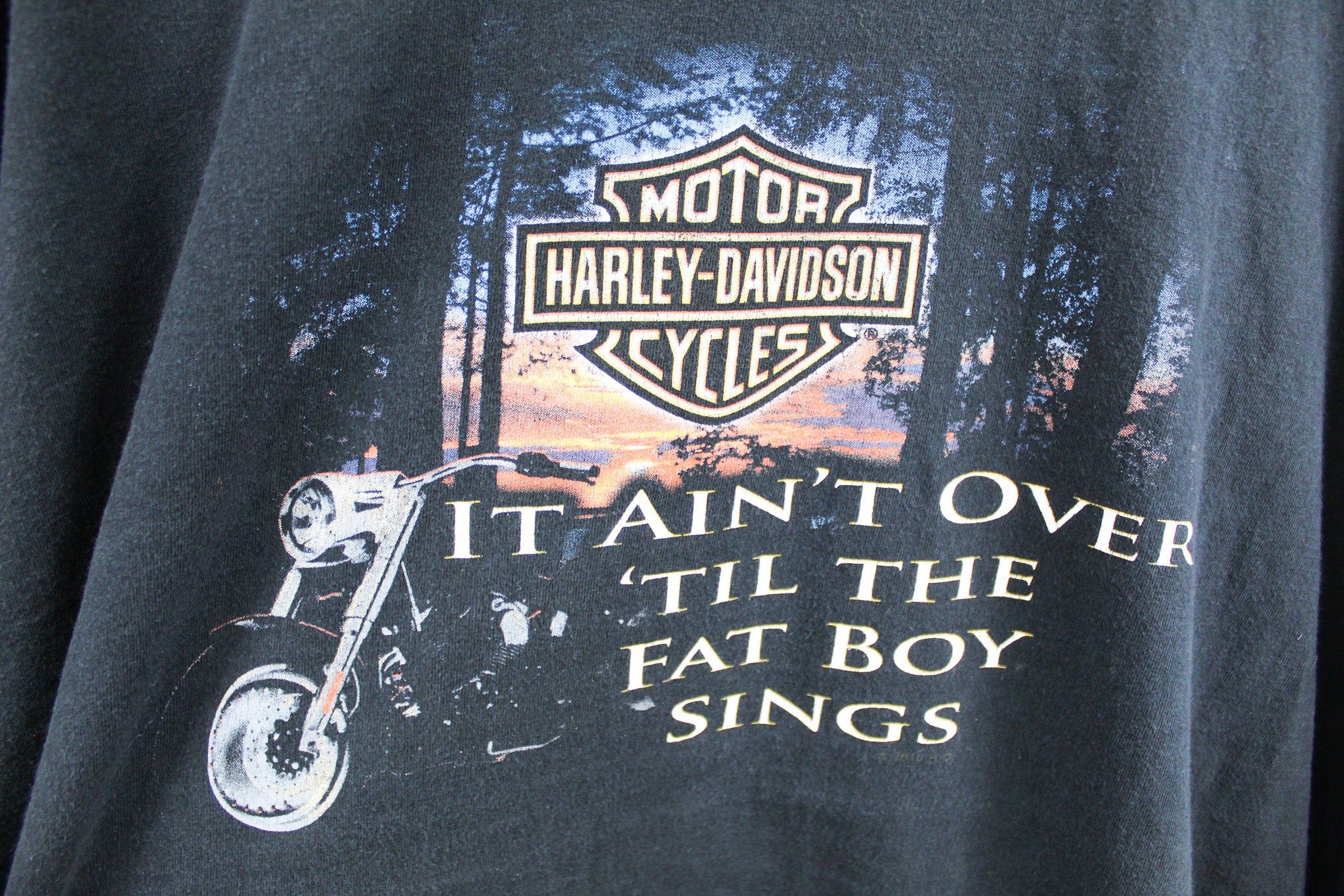 Vintage 2010 Harley Davidson Singing Fat Boy Tee sold by HG Vintage product image thumbnail 2
