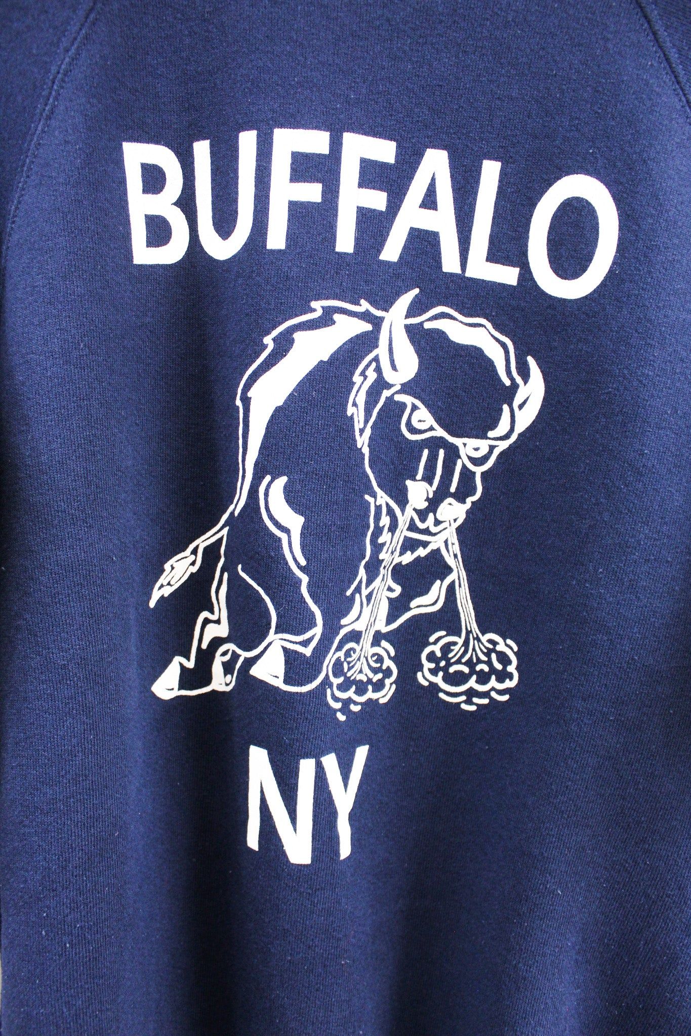 Vintage Buffalo NY Crewneck sold by HG Vintage product image thumbnail 2