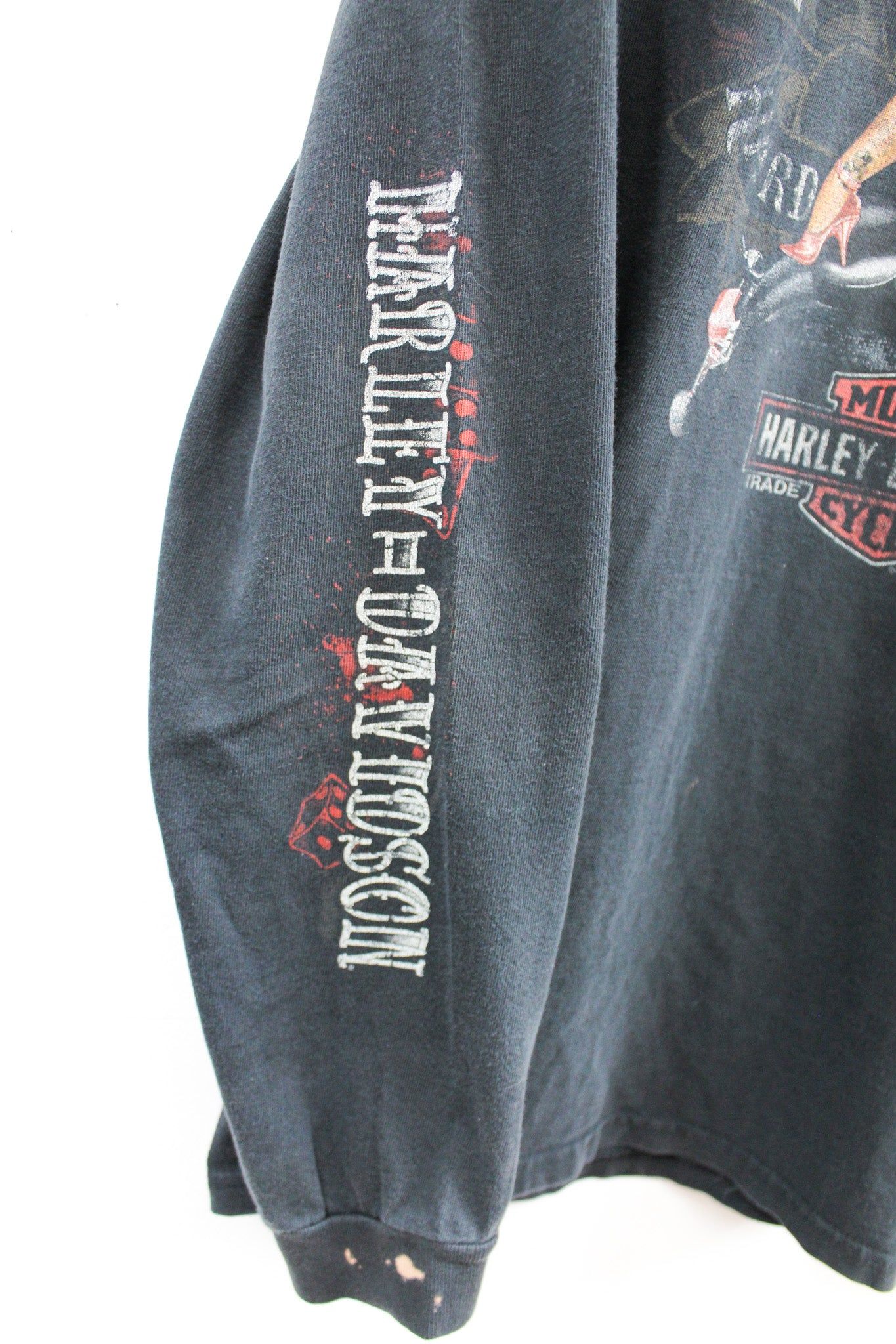Vintage 2010 Harley Davidson Waterloo Iowa Long Sleeve Tee sold by HG Vintage product image thumbnail 5