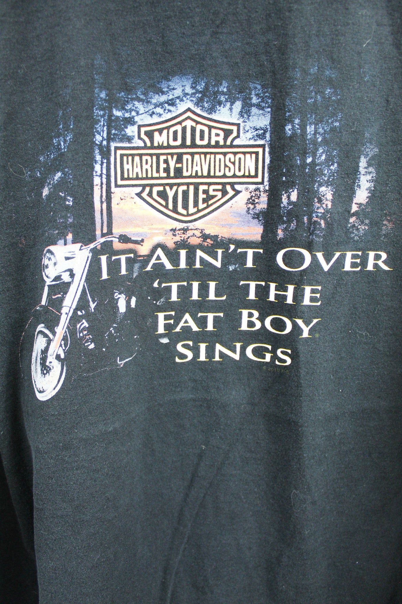Vintage 2010 Harley Davidson Singing Fat Boy Tee sold by HG Vintage product image thumbnail 2