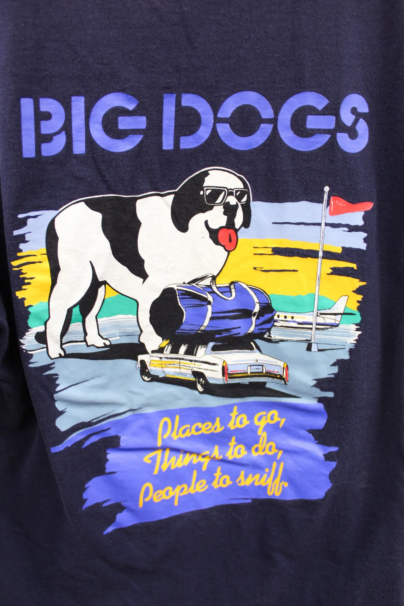 X - Vintage Single Stitch Big Dogs Santa Barbara Places To Be Tee sold by HG Vintage product image thumbnail 5