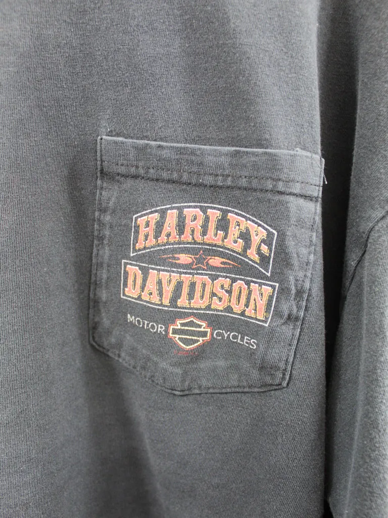 Z- 2009 Harley Davidson Thunder Road Danville VA Long Sleeve Tee sold by HG Vintage product image thumbnail 2