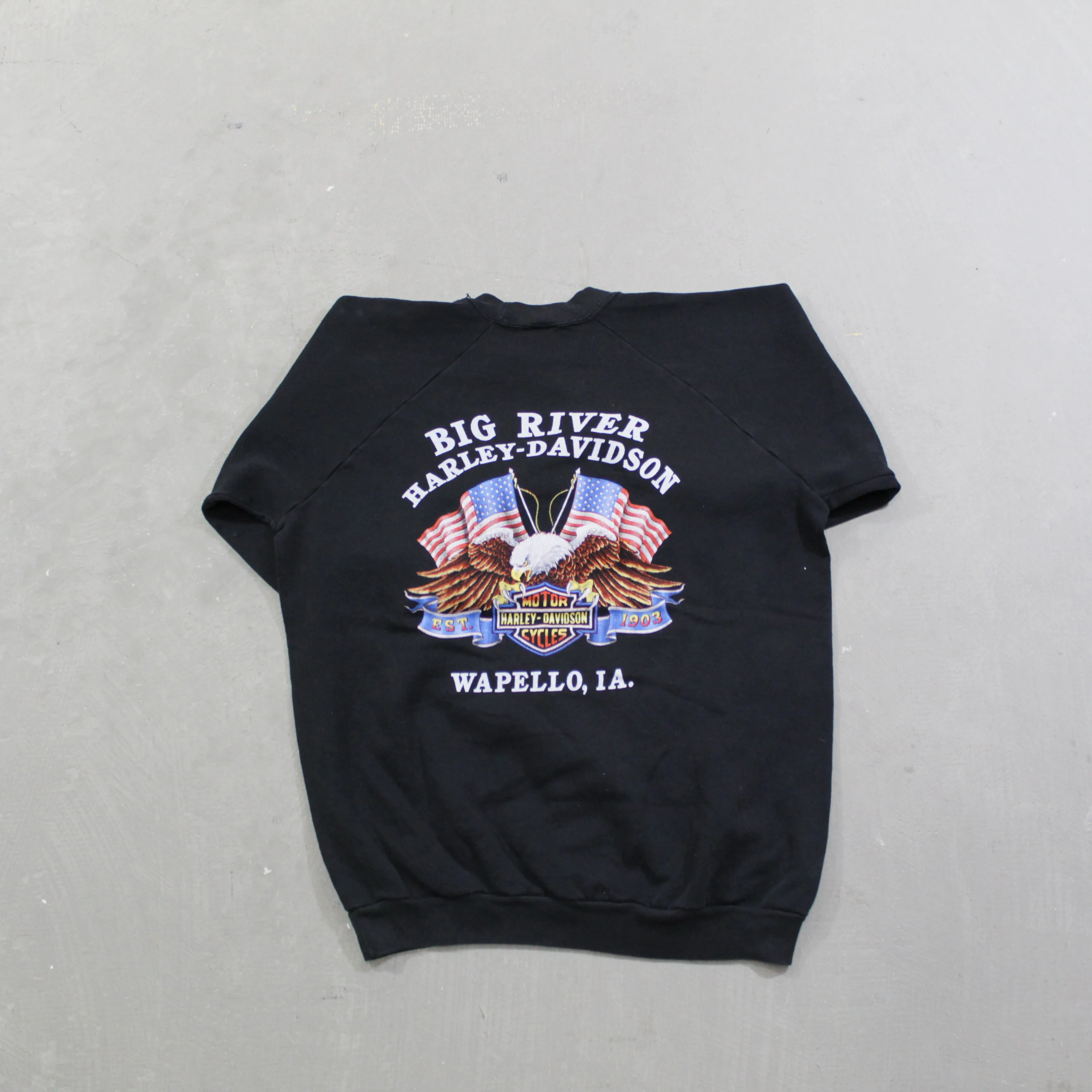 D- Vintage 1990 Harley Davidson 3D Emblem Wapello IA Crewneck sold by HG Vintage product image thumbnail 3