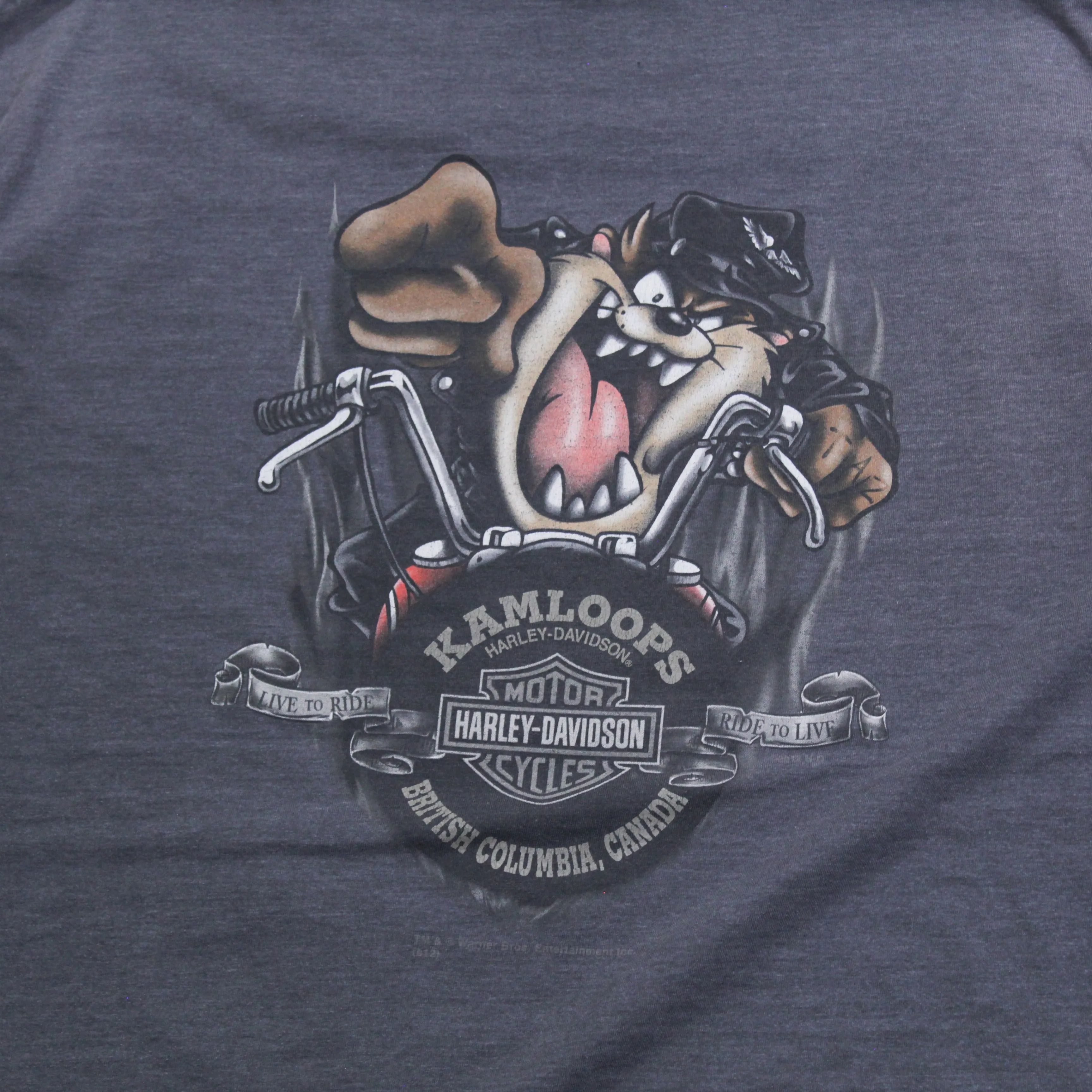 D- 2012 Harley Davidson Looney Tunes Kamloops BC Tee sold by HG Vintage product image thumbnail 4