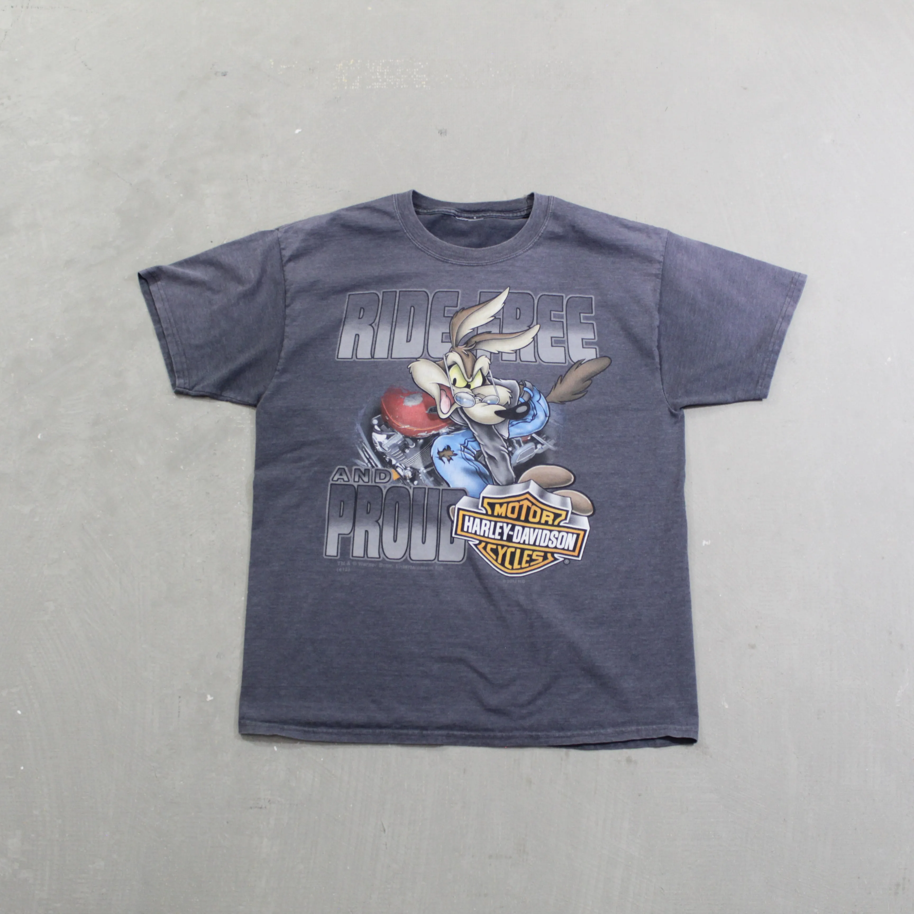 D- 2012 Harley Davidson Looney Tunes Kamloops BC Tee sold by HG Vintage