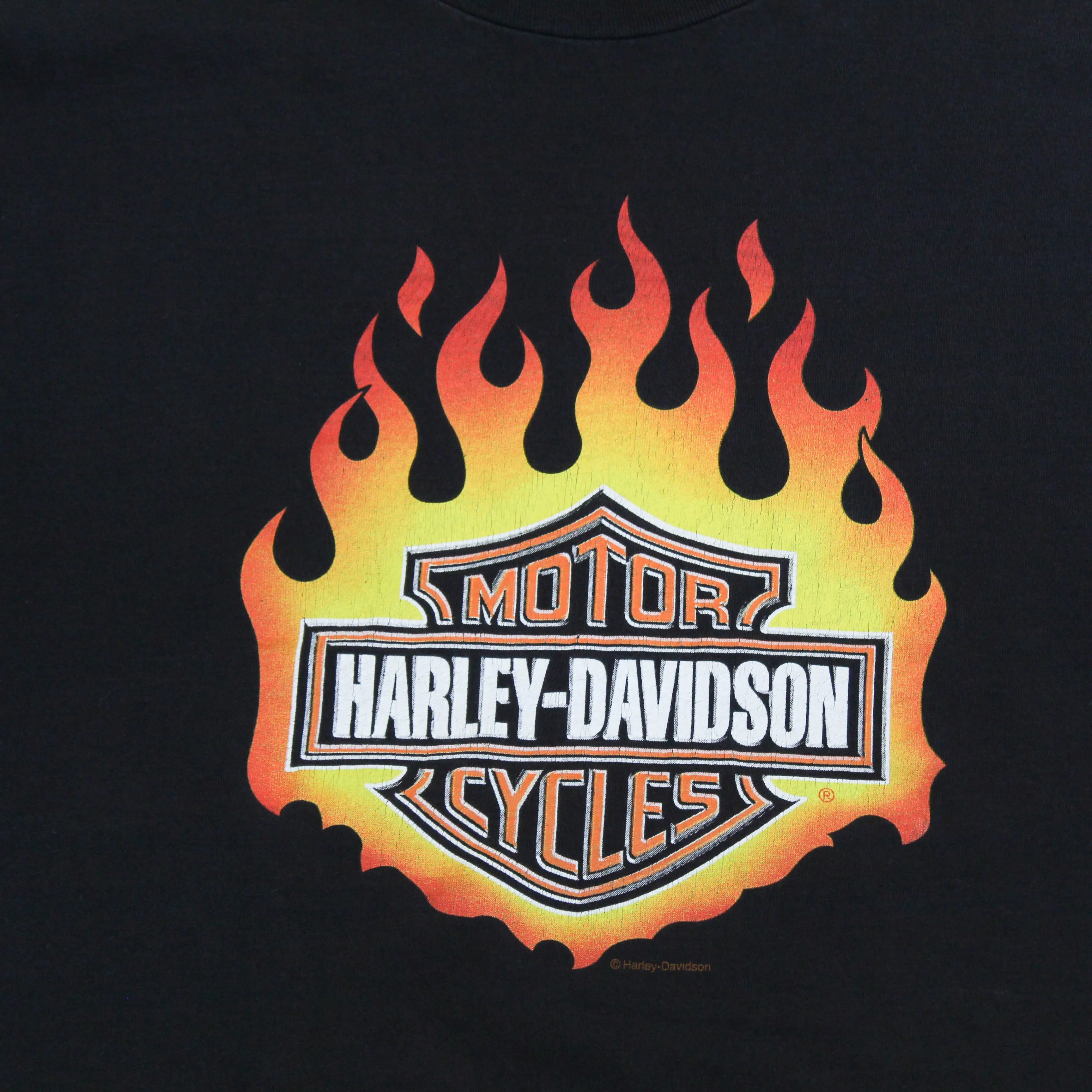 D- Vintage Harley Davidson Logo & Flames Graphic Tee sold by HG Vintage product image thumbnail 2