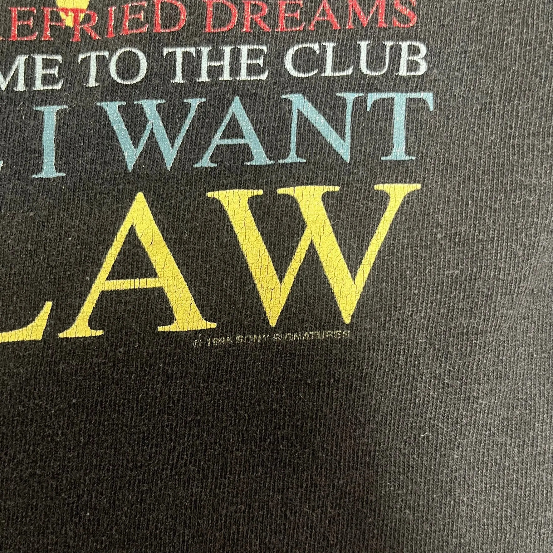 F- Vintage 1995 Tim McGraw I Like It, I Love It Tour Single Stitch Tee sold by HG Vintage product image thumbnail 5