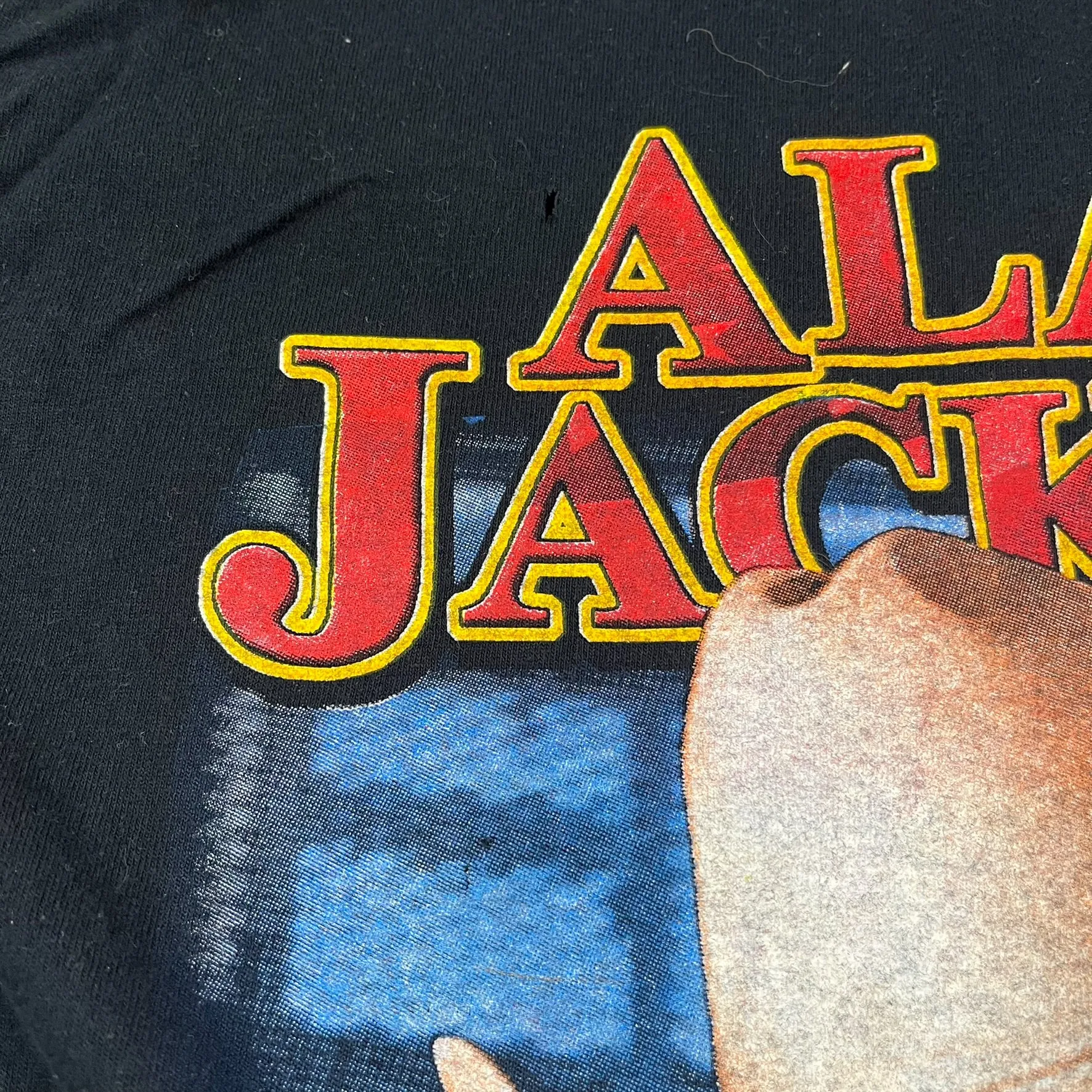 F- 2005 Alan Jackson Picture USA Tour Tee sold by HG Vintage product image thumbnail 5