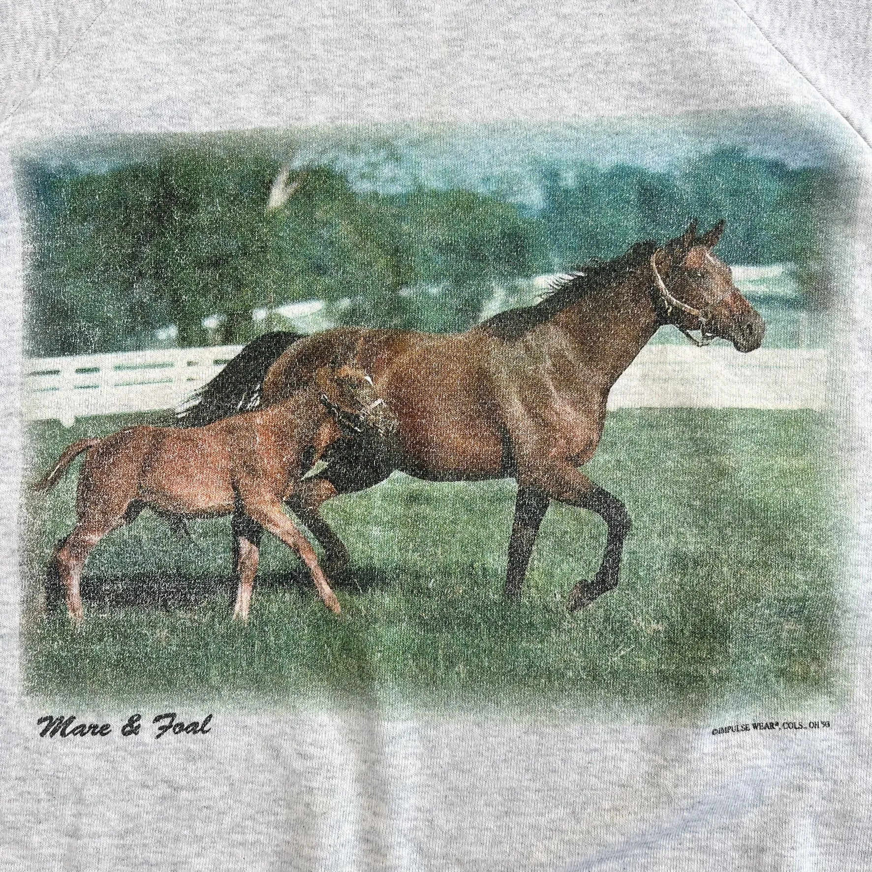 F- Vintage 93' mare & Foal Horses Picture Crewneck sold by HG Vintage product image thumbnail 2