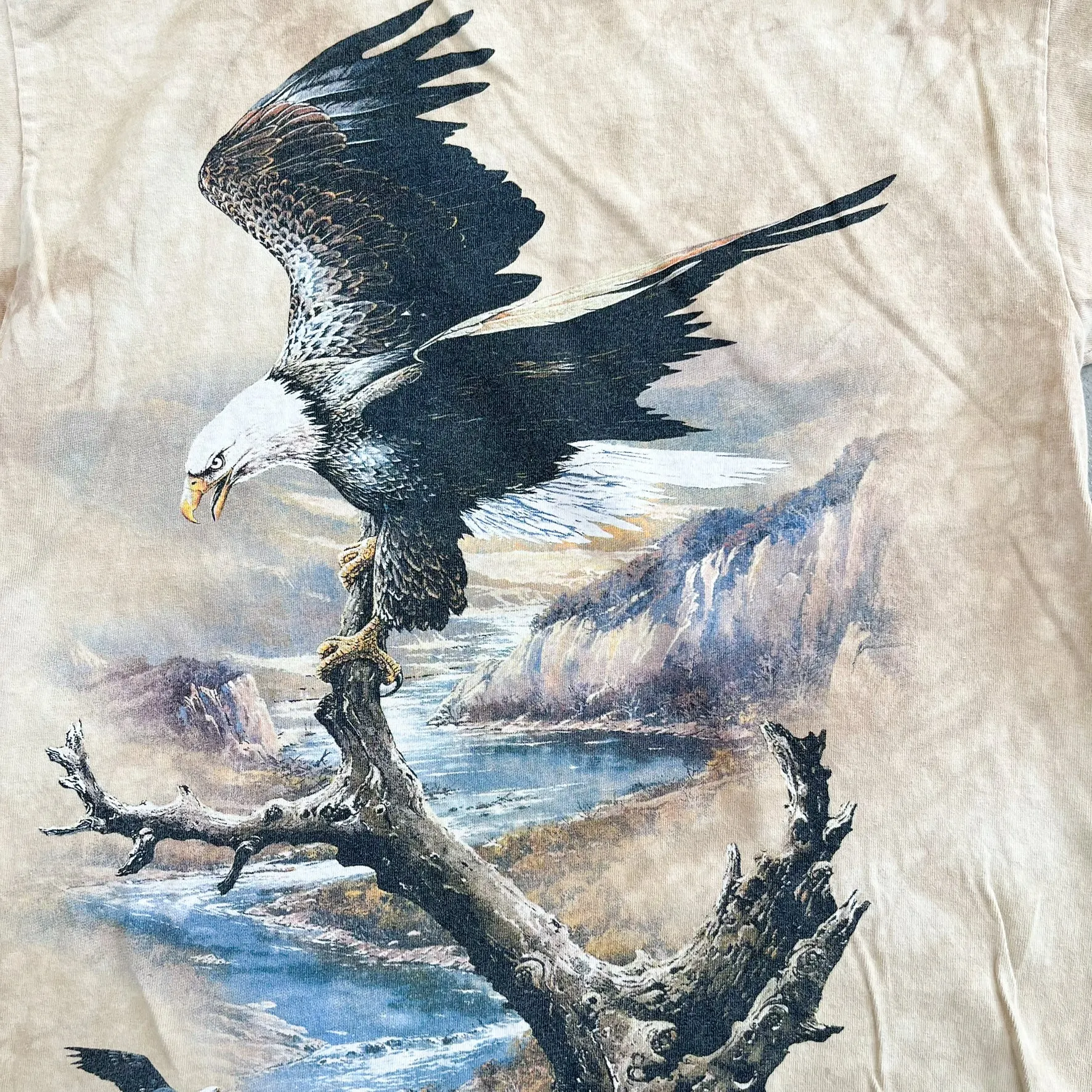 F- Vintage 2000 The Mountain Eagles In Canyon Animal Print Tee sold by HG Vintage product image thumbnail 2