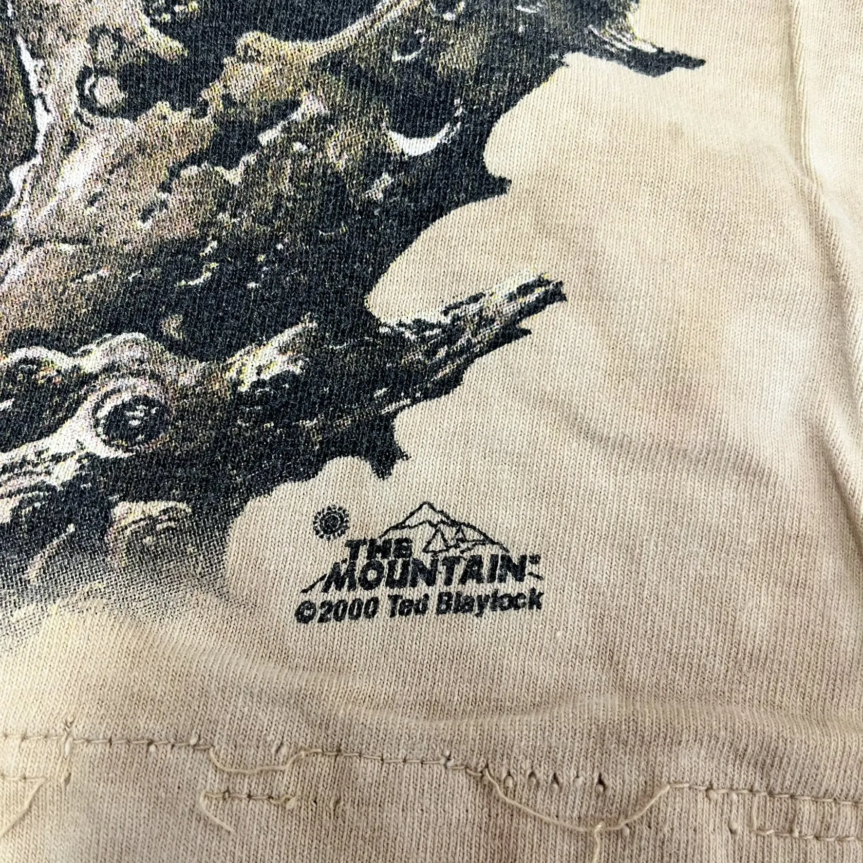 F- Vintage 2000 The Mountain Eagles In Canyon Animal Print Tee sold by HG Vintage product image thumbnail 3