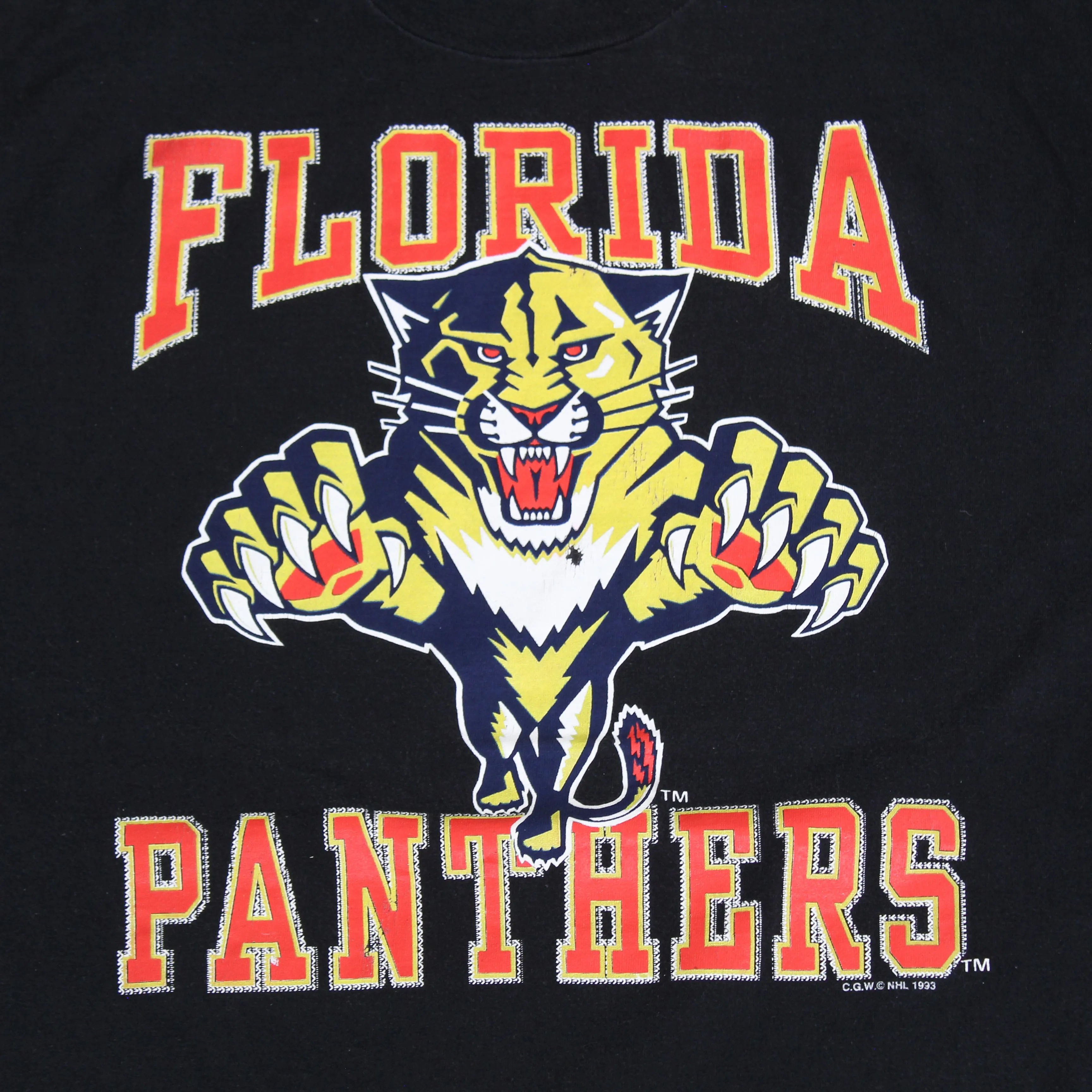 F- Vintage Florida Panthers NHL Logo Single Stitch Tee sold by HG Vintage product image thumbnail 2