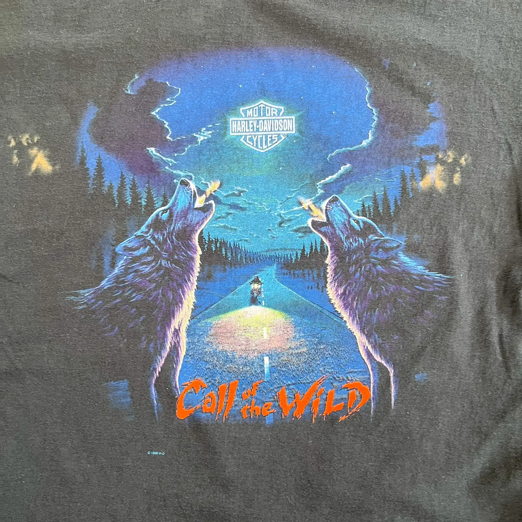 F- Vintage '96 Harley Davidson Call Of The Wild United Arab Emirate Single Stitch Tee sold by HG Vintage product image thumbnail 2