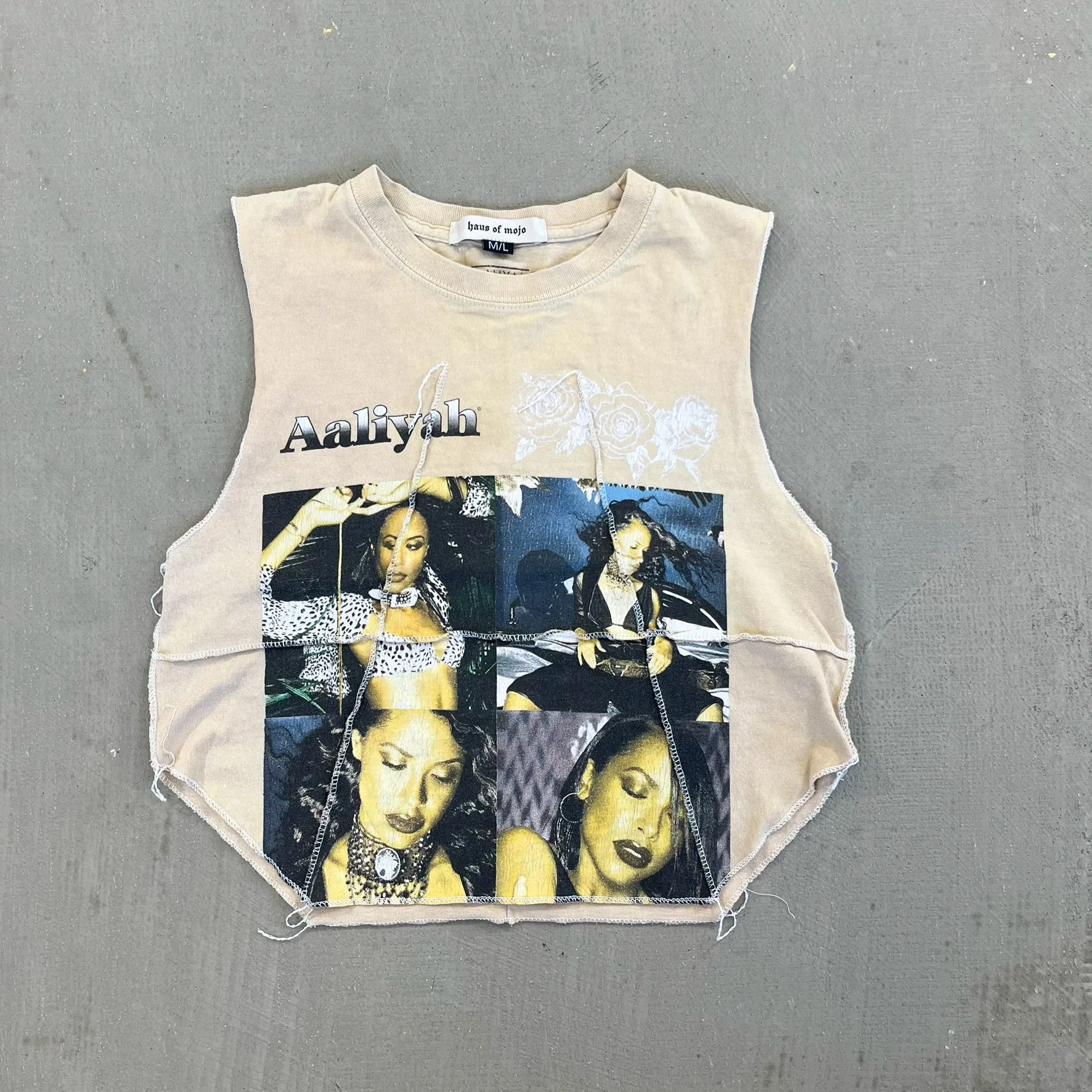 F- HOM Aaliyah Reworked Dbl Stitch Crop Top sold by HG Vintage