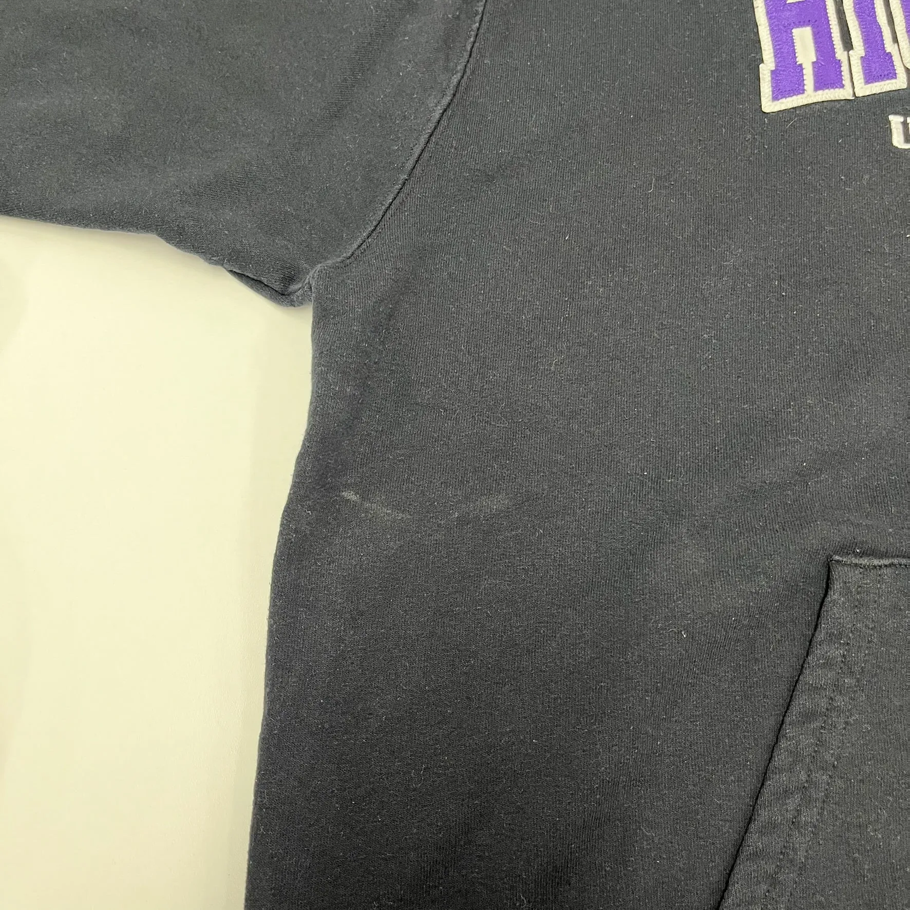 F- Vintage Champion High Point University Embroidered Text Hoodie sold by HG Vintage product image thumbnail 3